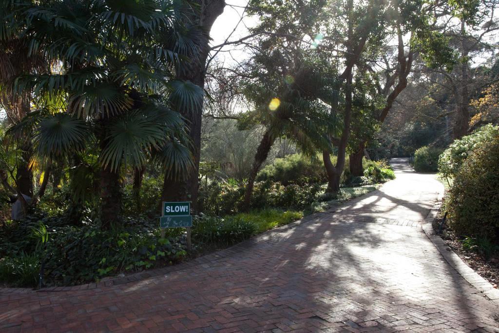 Viettz Suite Stellenbosch Zewnętrze zdjęcie
